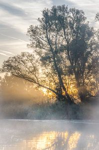 Early autumn morning.