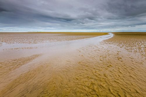 Geulen en patronen in de Waddenzee
