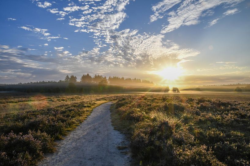 Sunrise over the Renderklippen by Tessa van der Geer