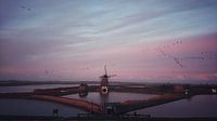 Mill The North