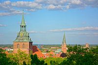 Uitzicht op Lüneburg