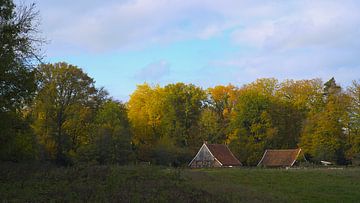 Los Hoes “Het Lammerinkswonner” van Gerhard Hoogterp