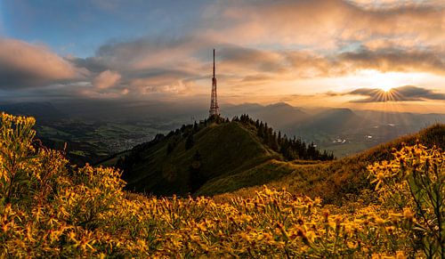 Bloemrijke zonsondergang op de Grünten