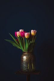 Tulpen aus Amsterdam von Buis Photography