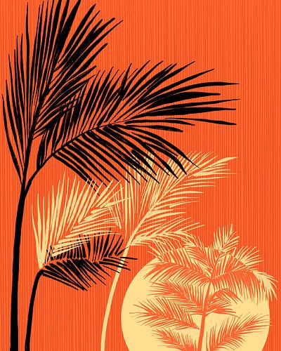 Palmen bij zonsondergang