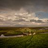 Sheep on the salt marshes of Groningen's Wadden coast by Bo Scheeringa Photography