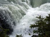 Athabasca Falls Canada  van Tonny Swinkels thumbnail