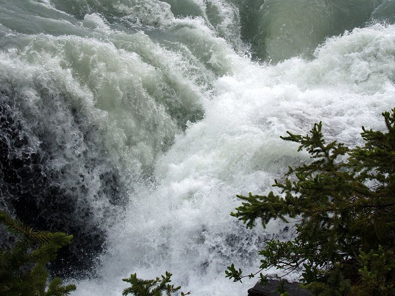 Athabasca Falls Canada  van Tonny Swinkels