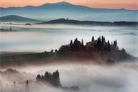 Mistig Toscane - Italie van Roy Poots thumbnail