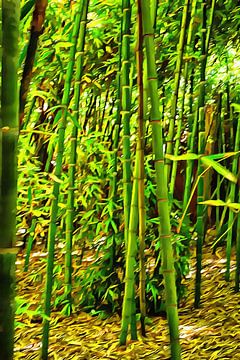 Bamboo in Jardin Majorelle Marrakech 2