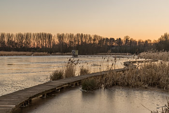 sunset at the park "Het Vinne"