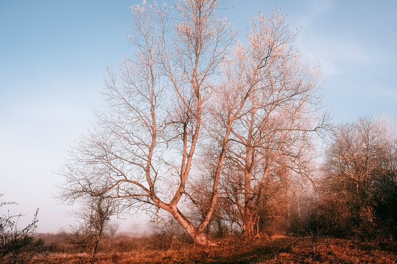 Sunrise by Heiko Westphalen