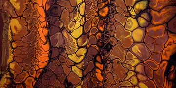 Vloeibare retro kleuren:  oranje, geel en bruin tinten van Marjolijn van den Berg