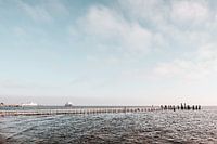 Sea landscape in front of the North Sea island Föhr