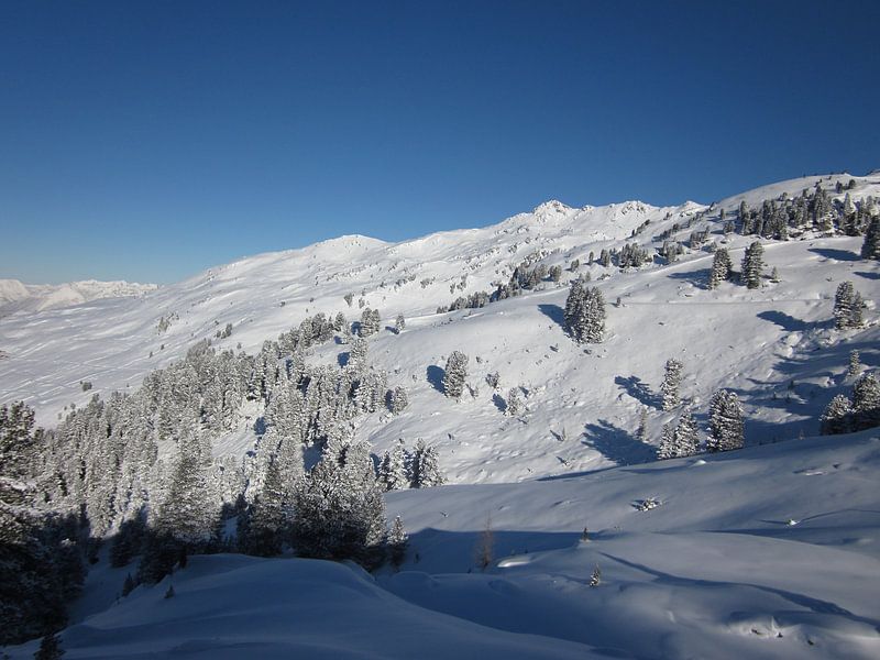 De Winter von Sander van der Lem