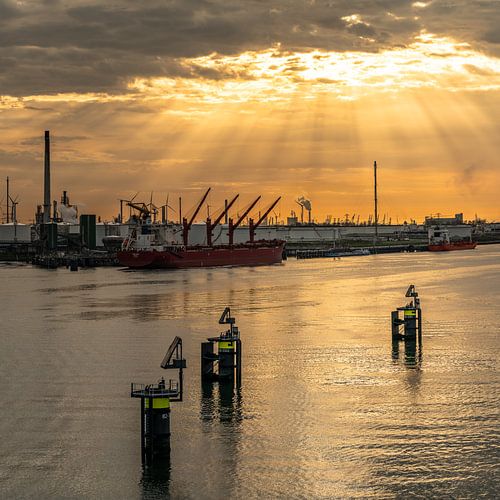 Zonsondergang over Europort Rotterdam: Een haven in beweging