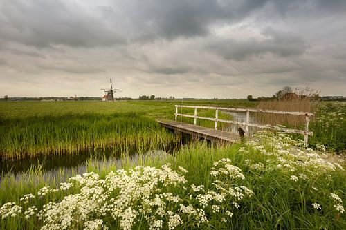The babuurstermolen in the spring landscape under threatening clouds