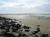 Plage Ameland Mer du Nord