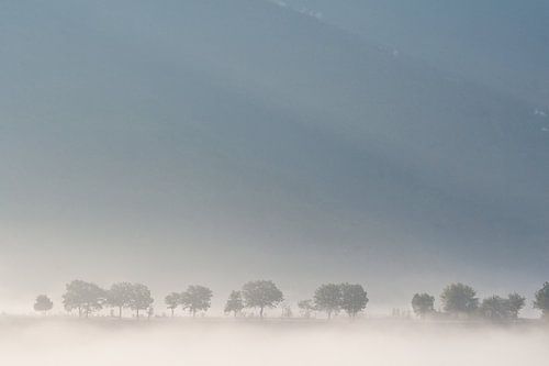 Road with trees near Gubbio, The Marches
