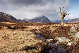 Rannoch Moor
