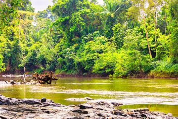 Kabalebo Nature Resort ist ein Ferienort in Suriname von René Holtslag