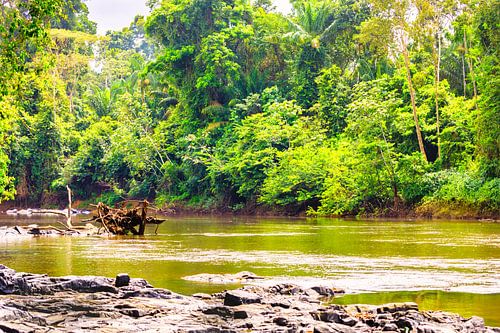 Het Kabalebo Nature Resort is een toeristenresort in Suriname