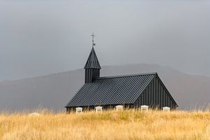 Herbst unter grauem Himmel in Buðir