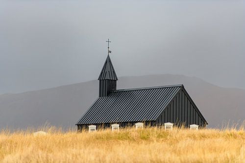 Herfst onder een grijze hemel bij buðir