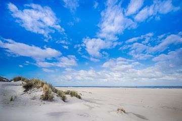 De duinen op Ameland van Niels Barto
