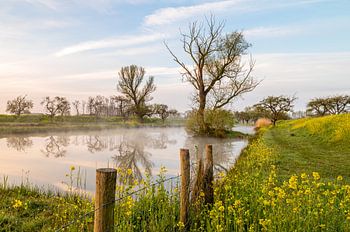 Werk Aan De Groene Weg