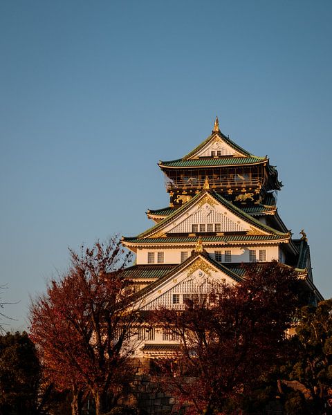Osaka von Hello Pompoyo