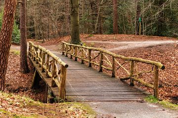 Zeister Wald mit Holzbrücke  von Jaap Mulder