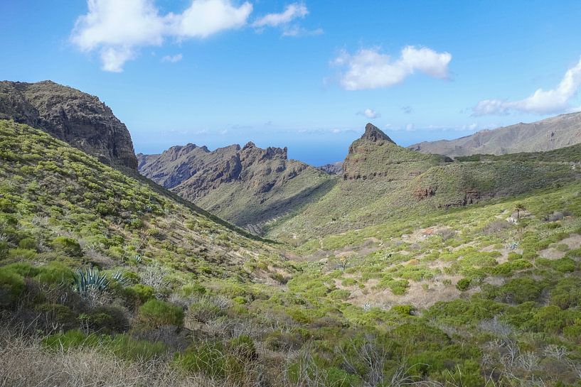 Autour de Masca et Teno à Ténériffe par Achim Prill