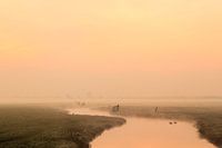Mistige ochtend in de polder bij Joure