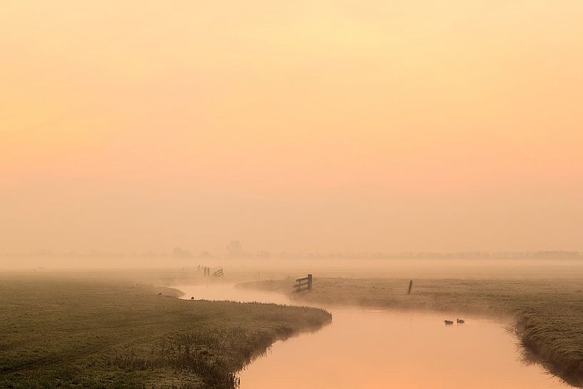 Mistige ochtend in de polder bij Joure par Piebe van den Berg