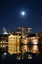 Hofstad met volle maan von Remco Swiers Miniaturansicht