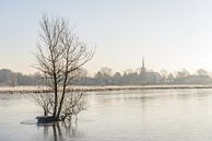 Gefrorener Fluss Mark an einem frühen Wintermorgen. von Ruud Morijn Miniaturansicht