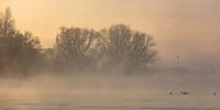 IJssel near Wilsum in fog by Evert Jan Kip thumbnail
