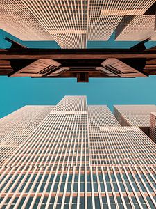 Le Lookup Color de Rotterdam