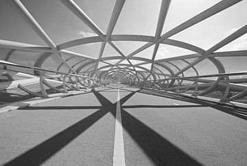 Bike Bridge "De Netkous" in Rotterdam by MS Fotografie | Marc van der Stelt
