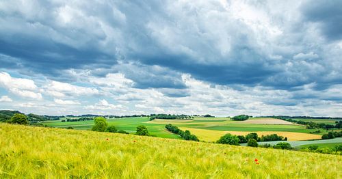 Vue sur la vallée sèche près de Colmont