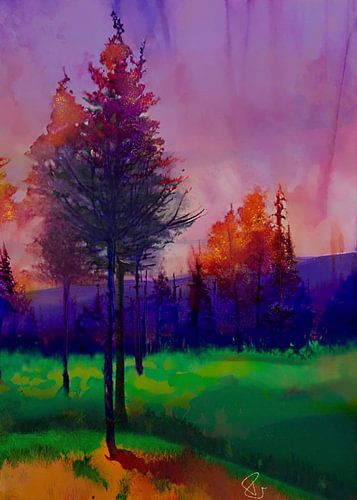 Arbres au coucher du soleil