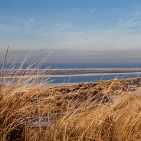 Maasvlakte in de winter van Martine van Toledo