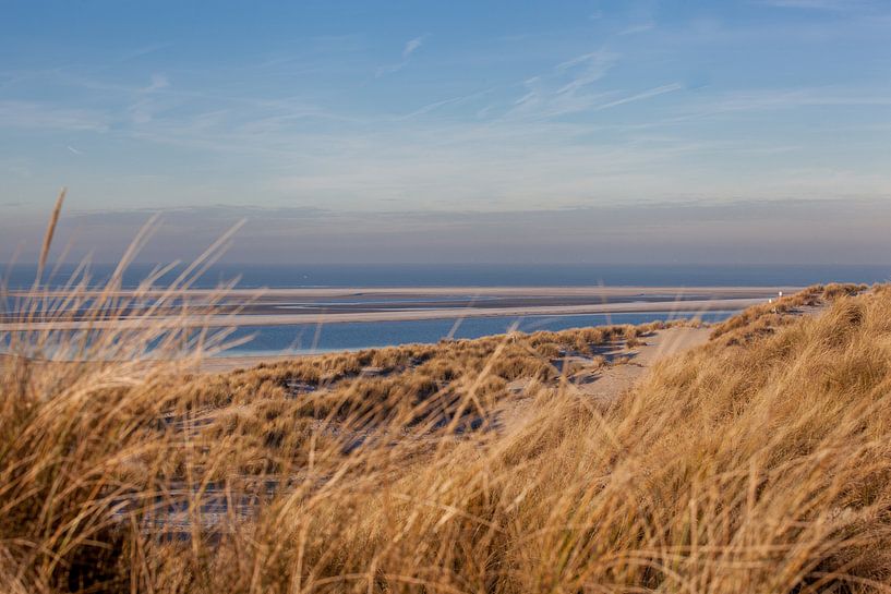 Maasvlakte in de winter by Martine van Toledo