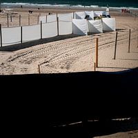 Zomer aan de Belgische kust