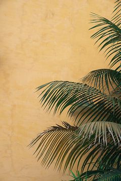 Palme mit gelb von shanine Roosingh
