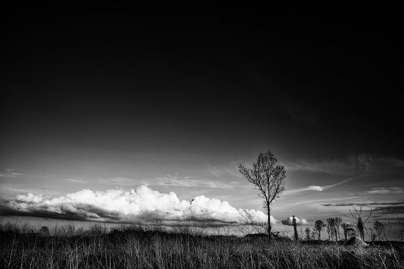 Landscape I van Rene Kuipers