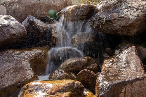 Cascade de montagne jaillissante