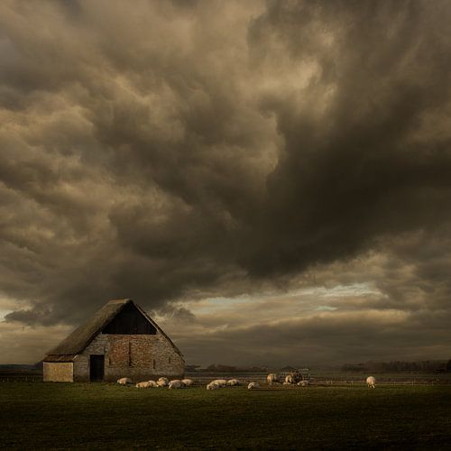 Texel Schapenboet - Nederlandse meesters