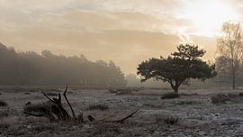 Sunrise on the moors by René Jonkhout